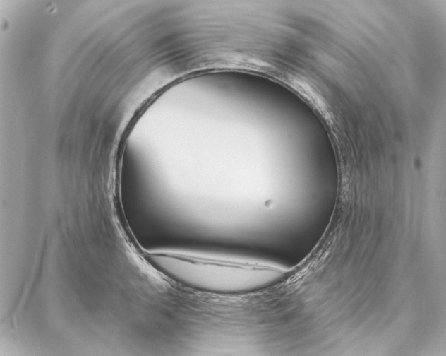 X0000087361136200705111638