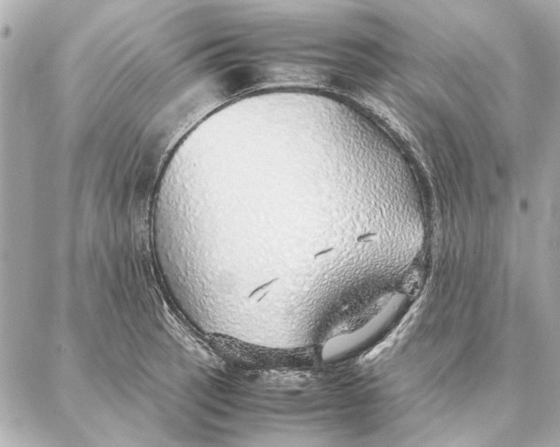 X0000087361137200705111638