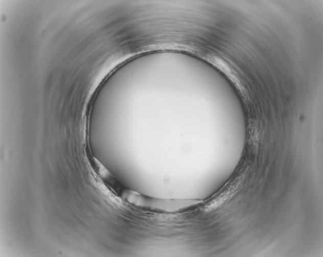 X0000087361140200705111638