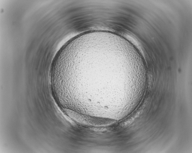 X0000087361141200705111638