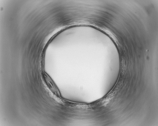 X0000087361142200705111638