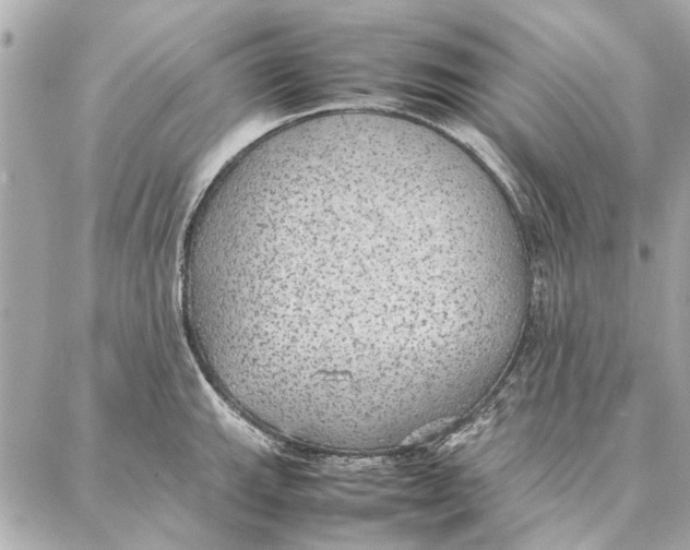 X0000087361143200705111638