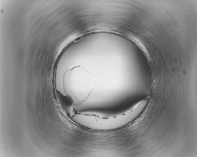 X0000087361146200705111638