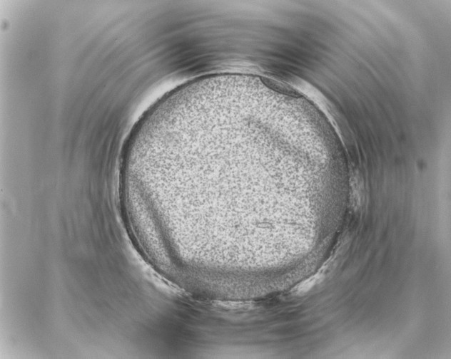 X0000087361147200705111638