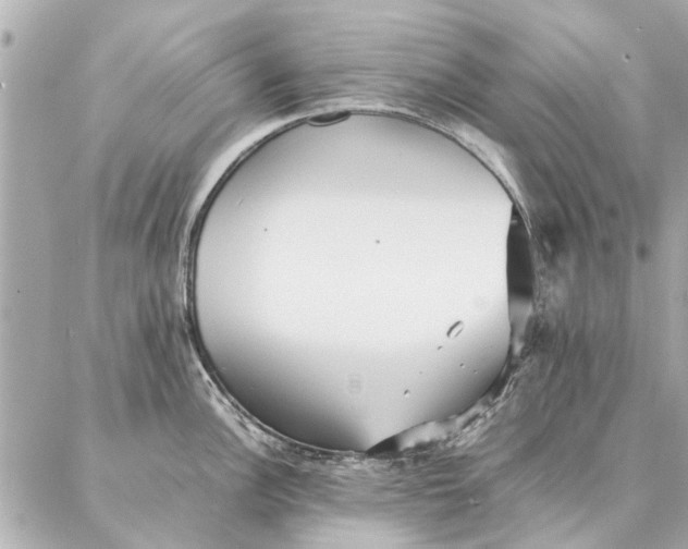 X0000087361148200705111638