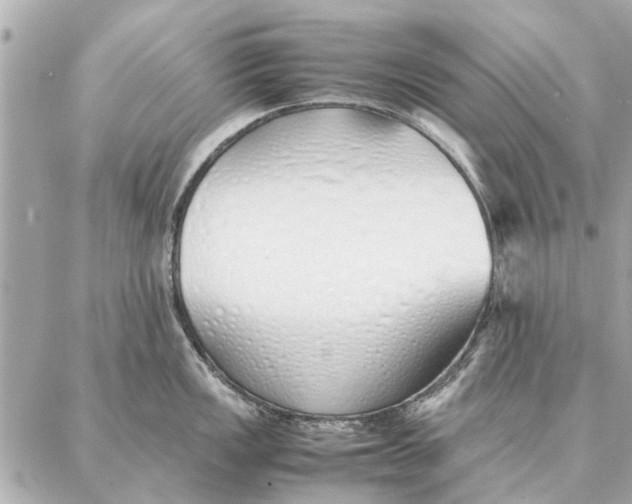 X0000087361149200705111638