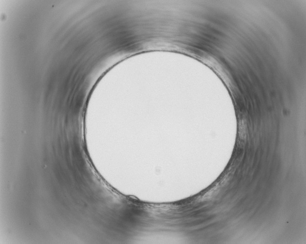 X0000087361150200705111638