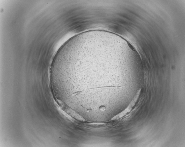 X0000087361151200705111638