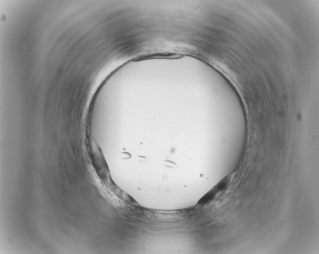 X0000087361152200705111638