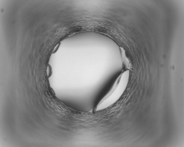 X0000087361153200705111638