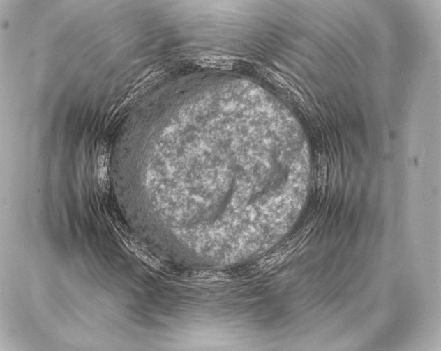 X0000087361154200705111638