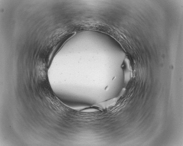 X0000087361156200705111638