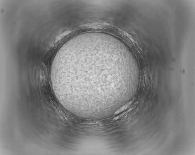 X0000087361158200705111638