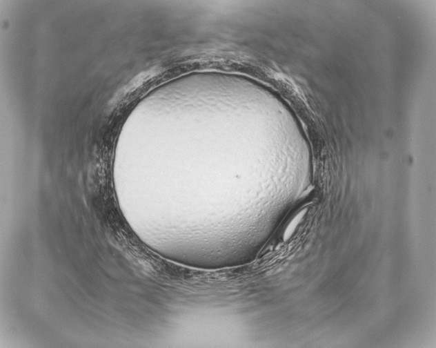 X0000087361159200705111638