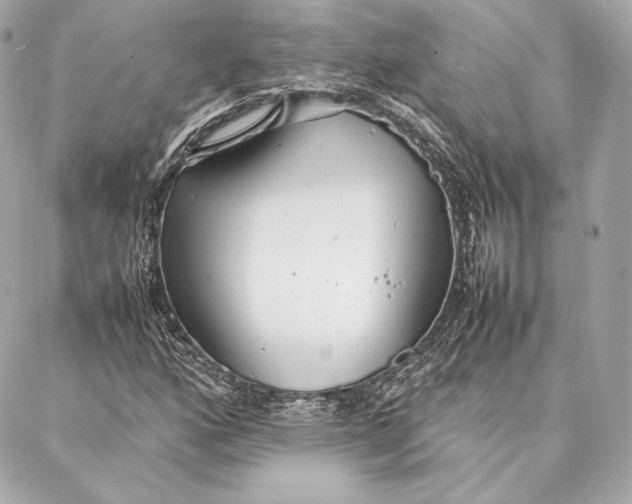 X0000087361160200705111638