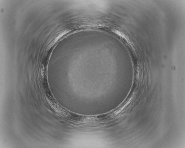 X0000087361161200705111638