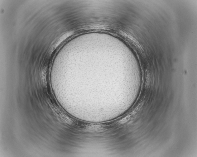 X0000087361162200705111638