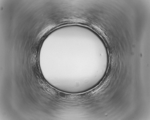 X0000087361163200705111637