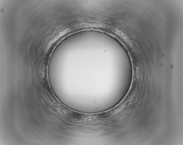 X0000087361165200705111637