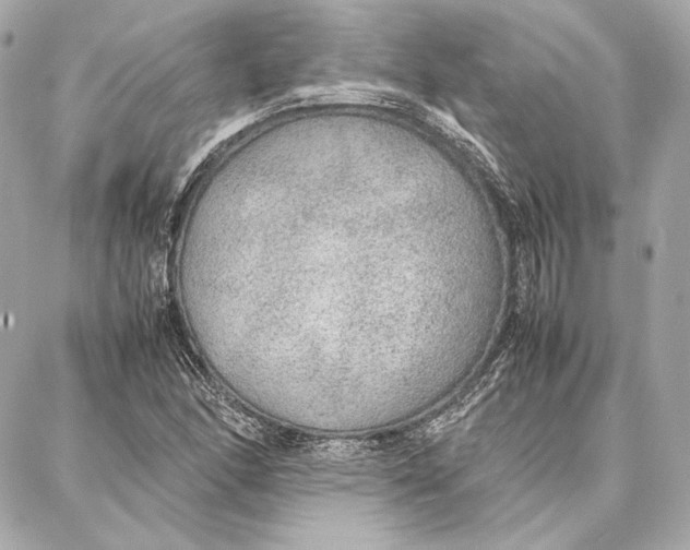 X0000087361166200705111637