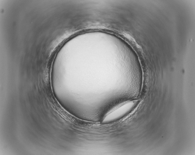 X0000087361167200705111637