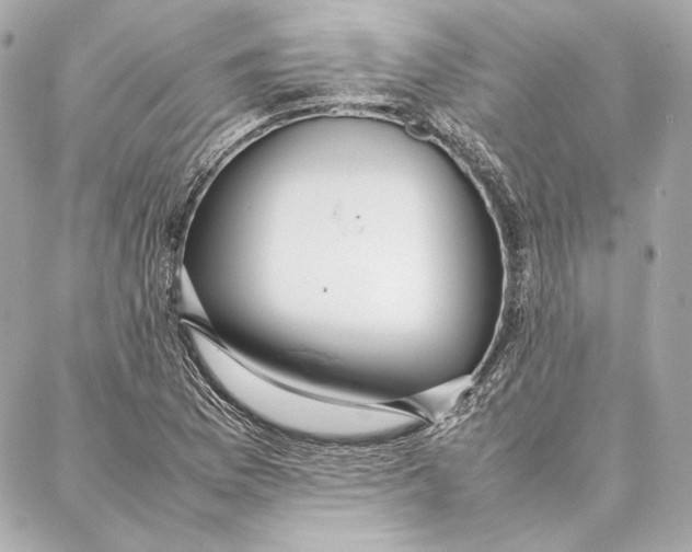 X0000087361169200705111637