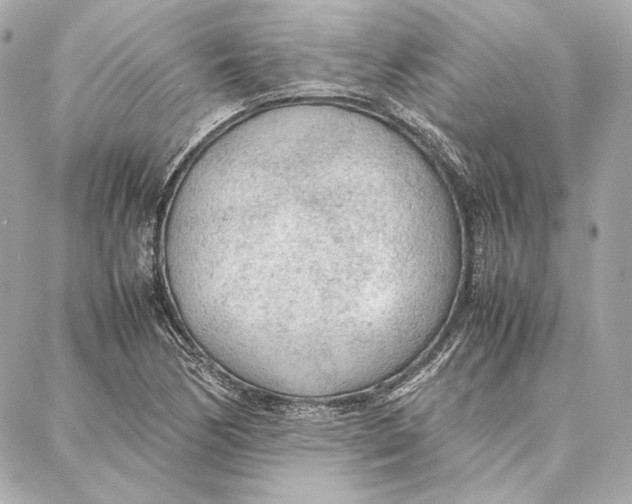 X0000087361170200705111637