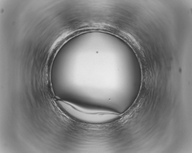 X0000087361172200705111637