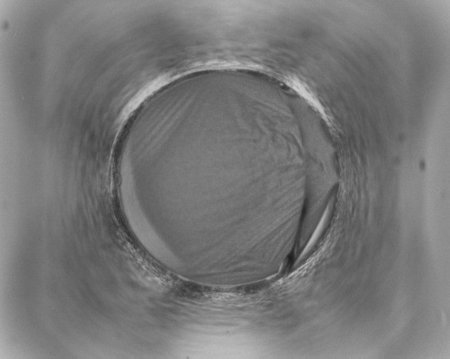 X0000087361173200705111637