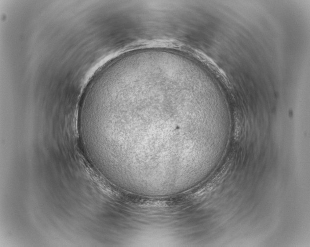 X0000087361174200705111637