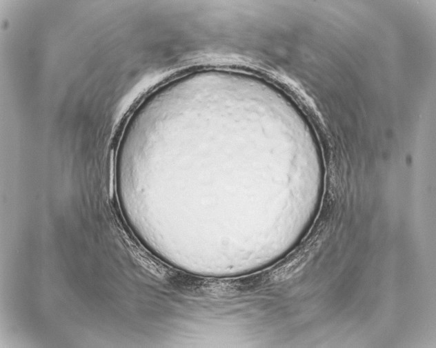 X0000087361175200705111637