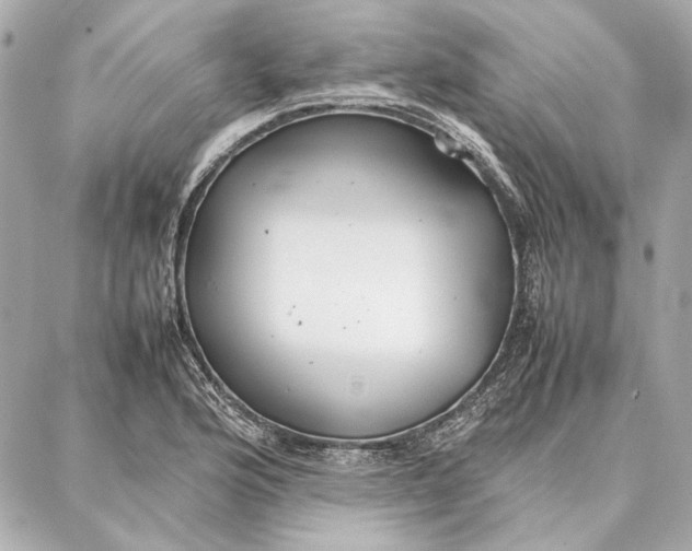 X0000087361176200705111637