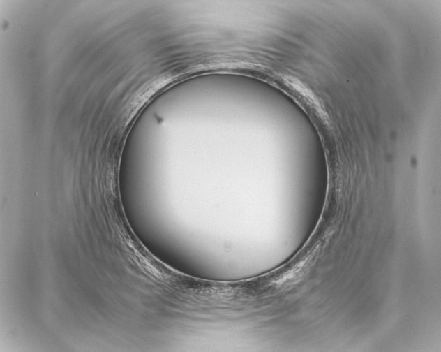 X0000087361177200705111637