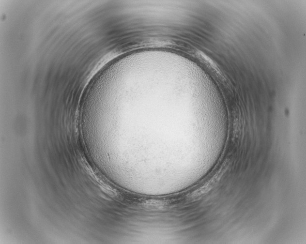 X0000087361178200705111637