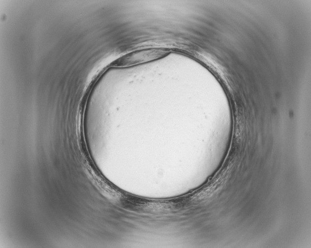 X0000087361179200705111637