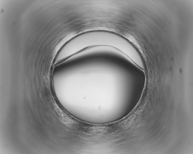 X0000087361181200705111637