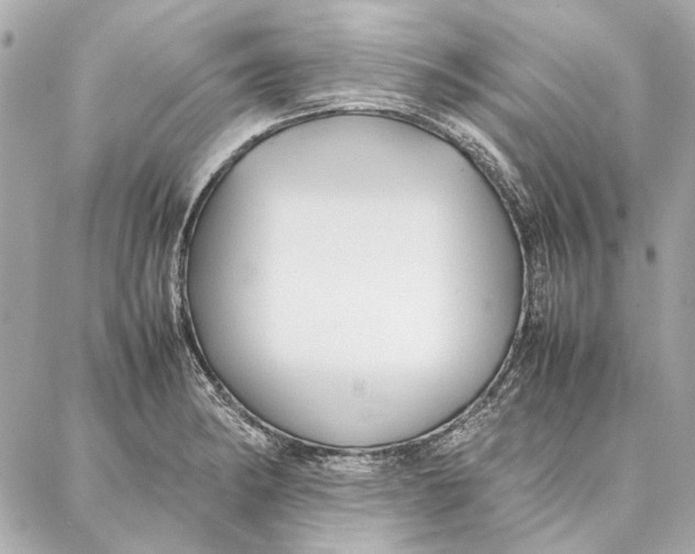 X0000087361182200705111637