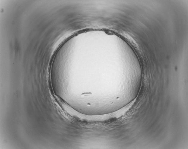 X0000087361183200705111637