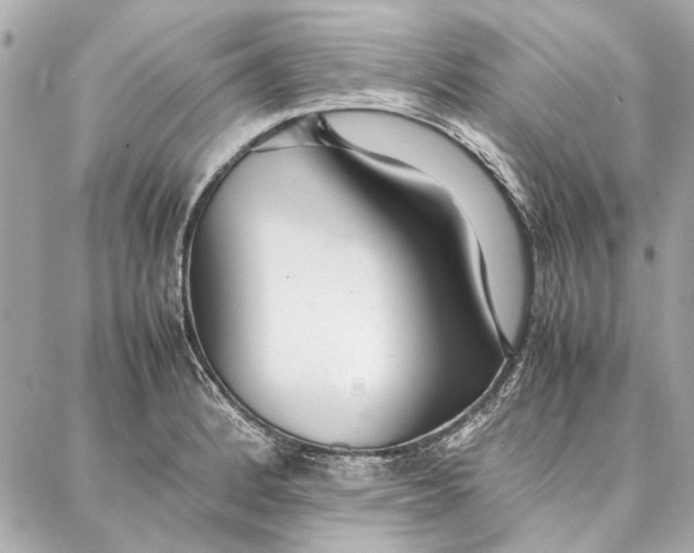 X0000087361184200705111637