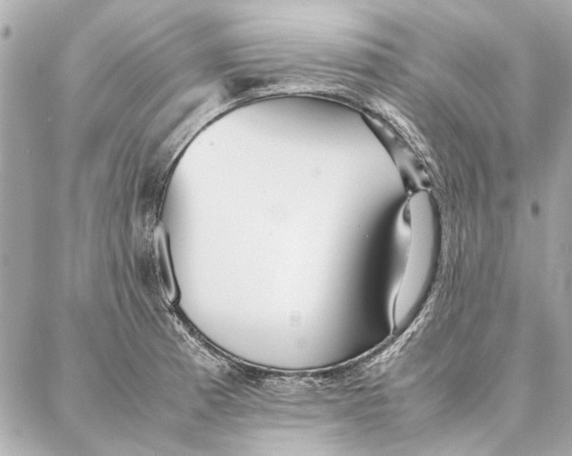 X0000087361185200705111637