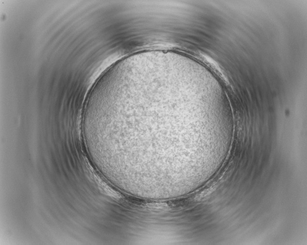 X0000087361186200705111637