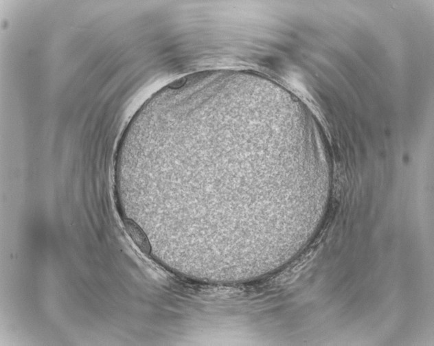 X0000087361187200705111637