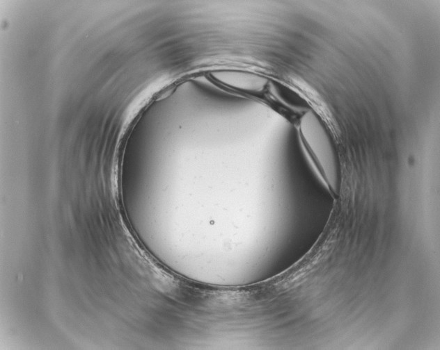 X0000087361188200705111637