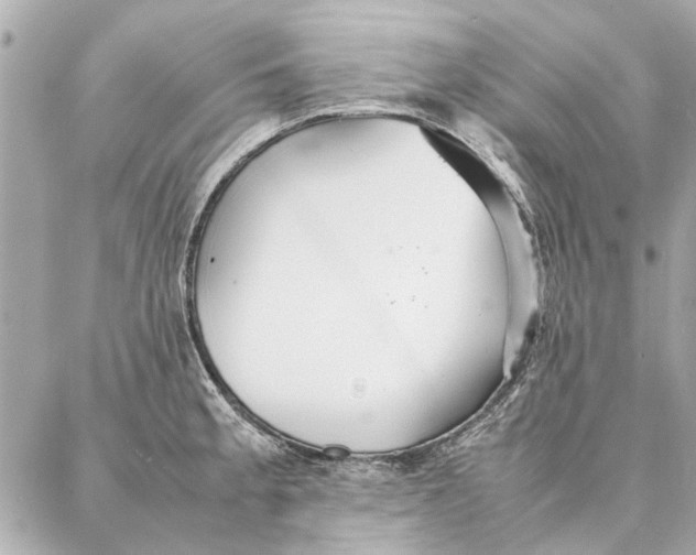 X0000087361189200705111637