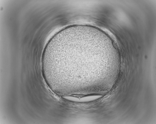 X0000087361191200705111637