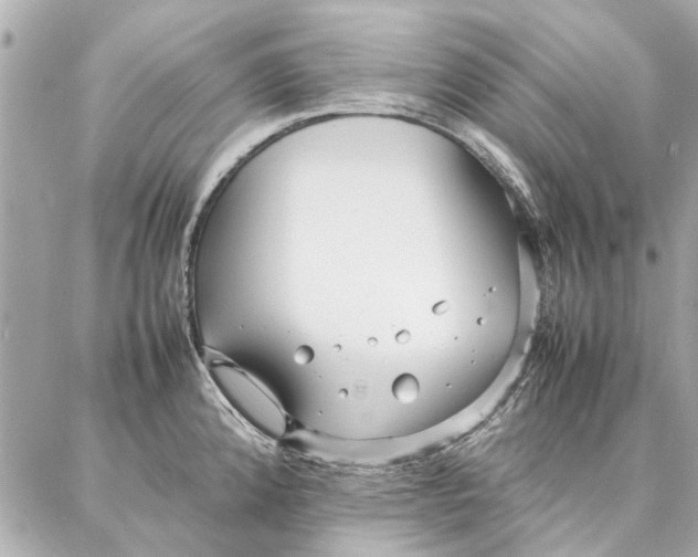 X0000087361192200705111637