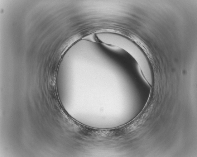 X0000087361193200705111637