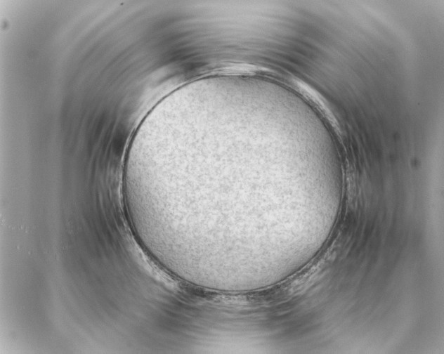 X0000087361194200705111637