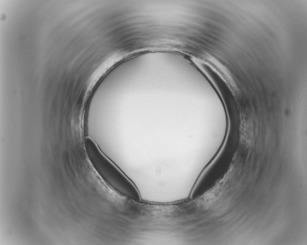 X0000087361196200705111637