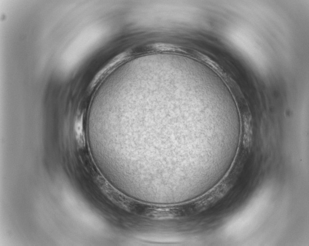 X0000087361198200705111637